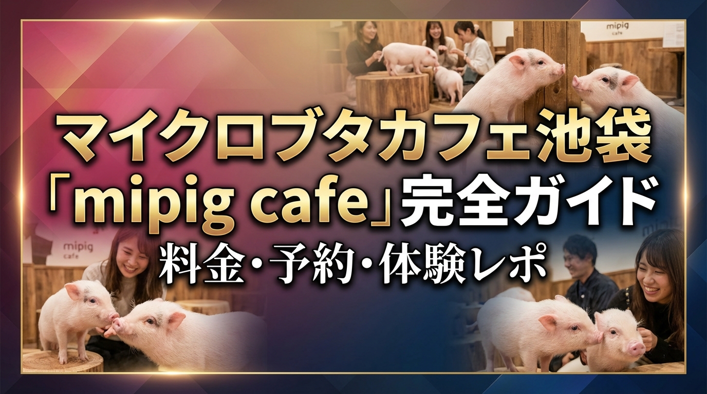 マイクロブタカフェ池袋「mipig cafe」完全ガイド｜料金・予約・体験レポ