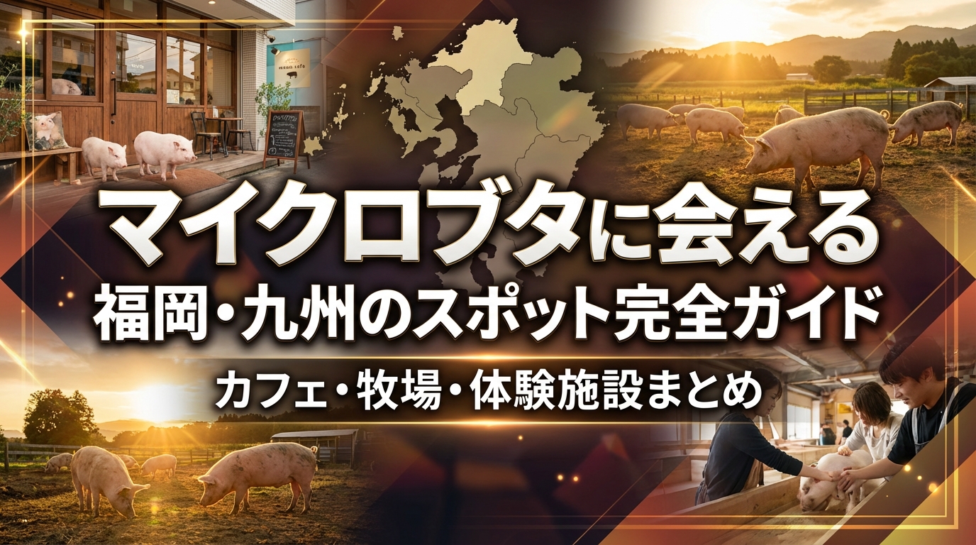 マイクロブタに会える福岡・九州のスポット完全ガイド｜カフェ・牧場・体験施設まとめ
