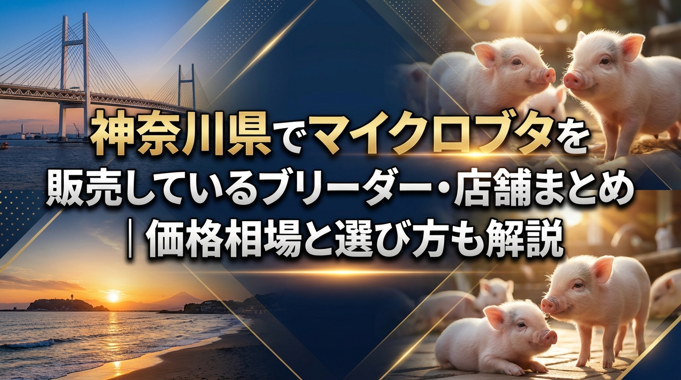 神奈川県でマイクロブタを販売しているブリーダー・店舗まとめ|価格相場と選び方も解説