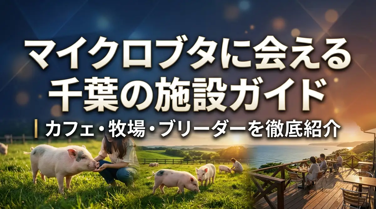 マイクロブタに会える千葉の施設ガイド|カフェ・牧場・ブリーダーを徹底紹介