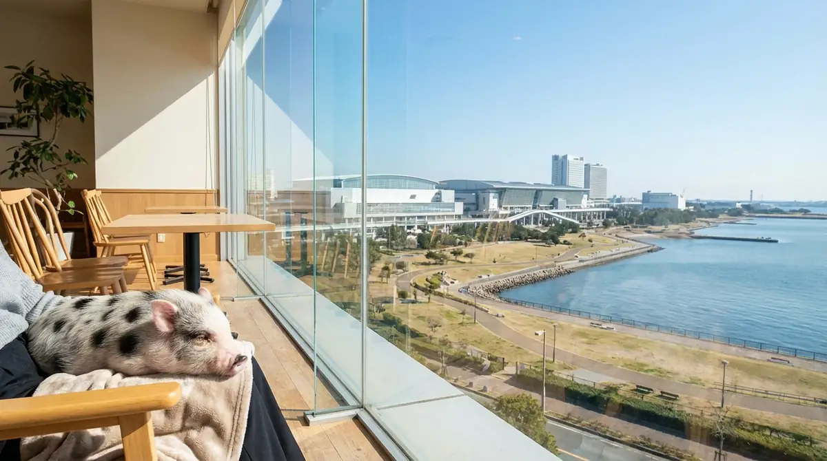 マイクロブタカフェ後に立ち寄りたい幕張周辺スポット