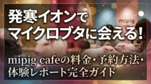 発寒イオンでマイクロブタに会える！mipig cafeの料金・予約方法・体験レポート完全ガイド