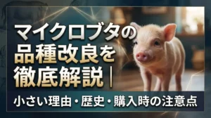 マイクロブタの品種改良を徹底解説｜小さい理由・歴史・購入時の注意点