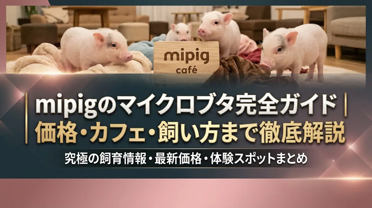 mipigのマイクロブタ完全ガイド｜価格・カフェ・飼い方まで徹底解説