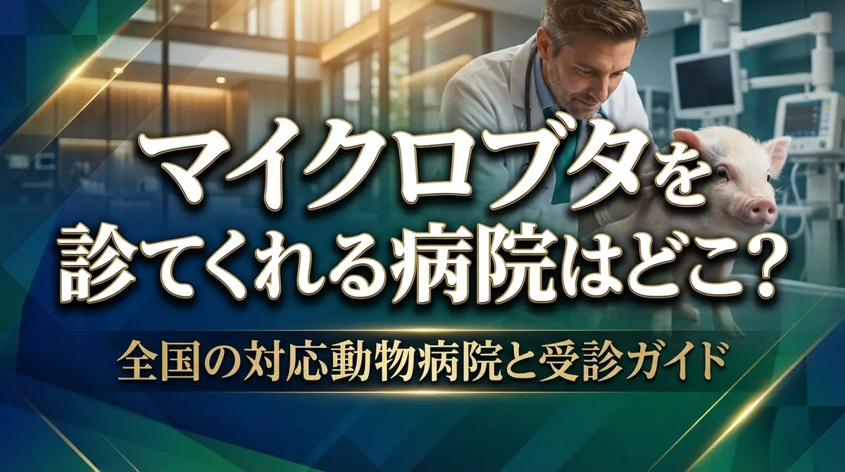 マイクロブタを診てくれる病院はどこ?全国の対応動物病院と受診ガイド