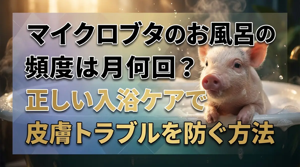マイクロブタのお風呂の頻度は月何回？正しい入浴ケアで皮膚トラブルを防ぐ方法